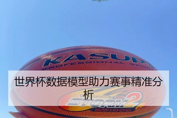 世界杯数据模型助力赛事精准分析