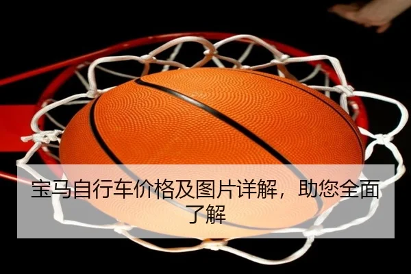 宝马自行车价格及图片详解，助您全面了解