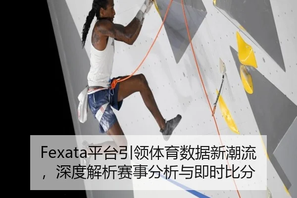 Fexata平台引领体育数据新潮流，深度解析赛事分析与即时比分
