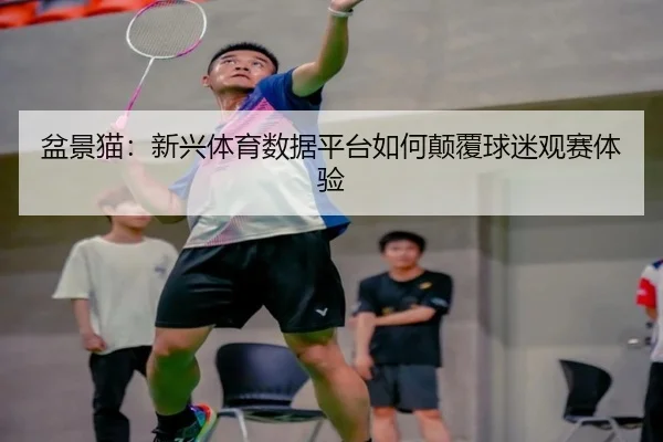 盆景猫：新兴体育数据平台如何颠覆球迷观赛体验