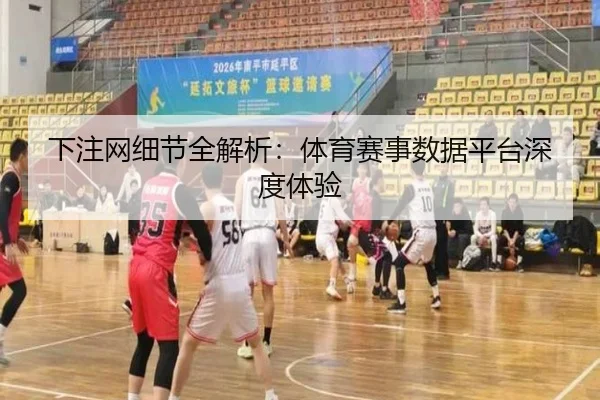 下注网细节全解析：体育赛事数据平台深度体验